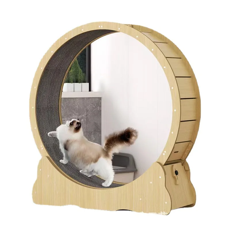 Cat fitness wheel indoor toy c - огляд і ціна Interactive Cat Toy