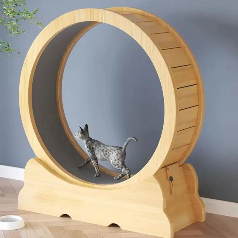 Cat fitness wheel indoor toy c - огляд і ціна Interactive Cat Toy