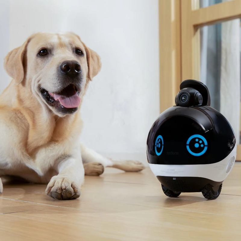 Smart Family Robot HD Monitori - огляд і ціна Interactive Cat Toy