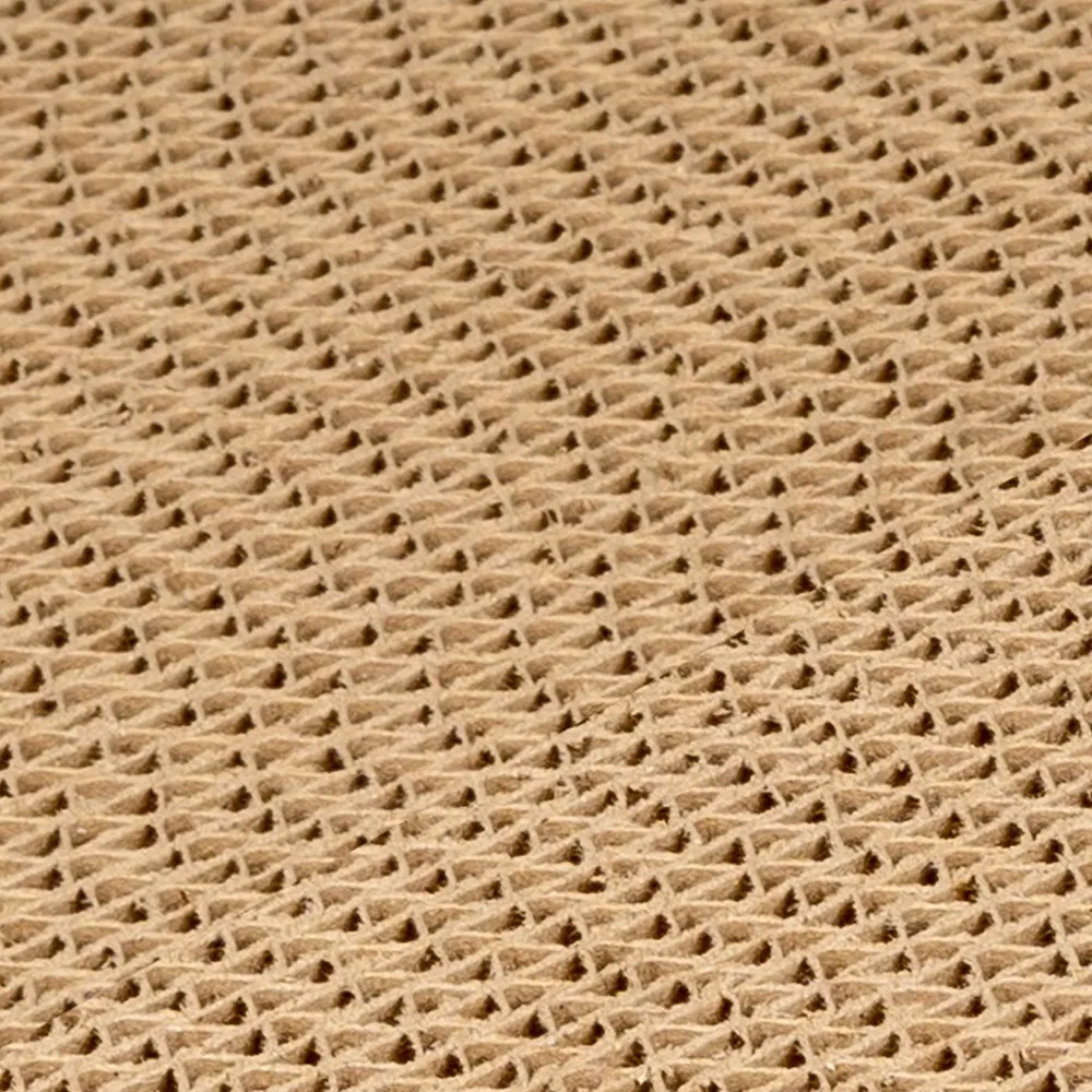 Corrugated Cardboard Sushi Rol - огляд і ціна Interactive Cat Toy